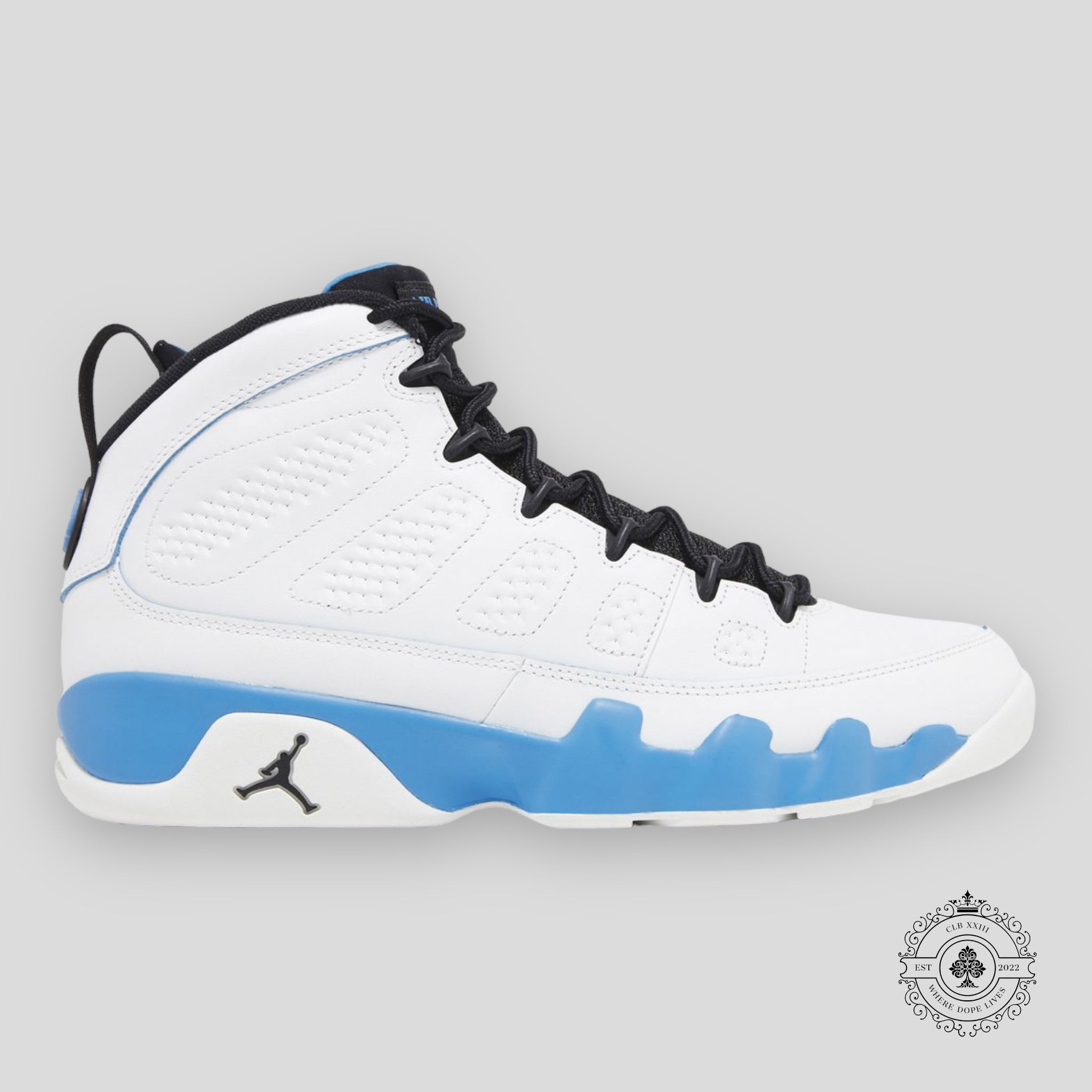 Air Jordan 9 Retro Powder Blue (2024)